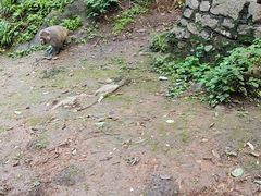 -黔灵山公园