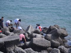 -天津妈祖文化园