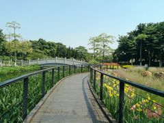 -映月湖公园