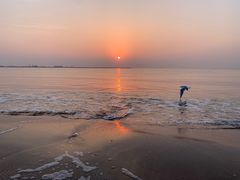 -金梦海湾浴场