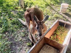 -水上乐园·欢乐世界