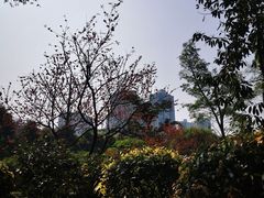 -龙头寺公园