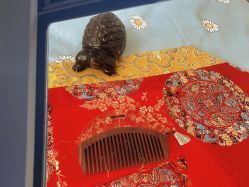 点击看大图 -诗安国际母婴会所 月子会所中心(市政府店)