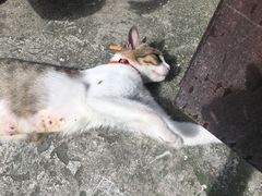 -ABCD咖啡屋(妇幼店)