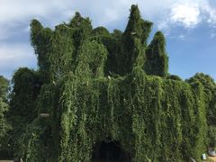 -上海月湖雕塑公园