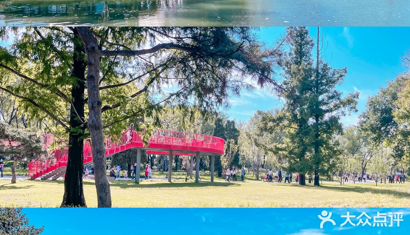 带你回忆爸爸的童年🎡龙潭中湖亲子周末💗