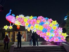 -武汉园博园(武汉自然博物馆)