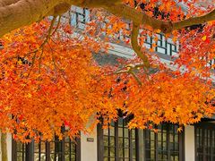 -狼山风景名胜区