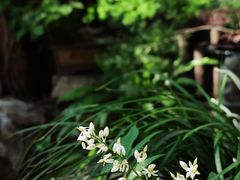 -行人小筑·茶馆(岑村火炉山分店)