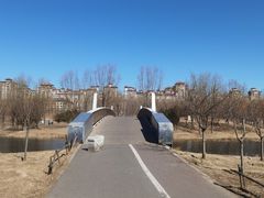 -马家湾湿地公园