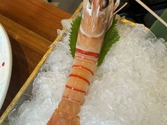 -Mr.Fish鱼鲜生海鲜放题(高德置地冬广场店)