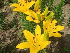 -长春公园(普阳街道)