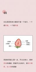 -邢台妇产医院