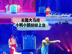-广州长隆国际大马戏