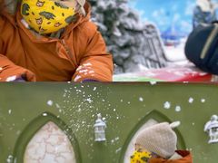 -世界之窗阿尔卑斯冰雪世界