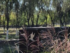 -东郊湿地公园