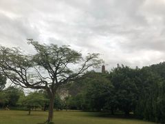 -南沙蒲洲花园