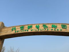 -北京野生动物园