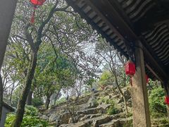 -香雪海