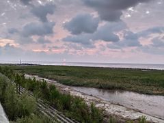 -南汇嘴观海公园