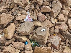 -红山国家森林公园