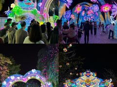 -厦门园林博览苑
