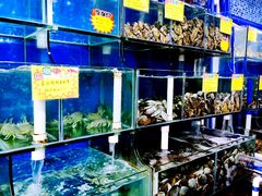 -蚝专家(北滘店)