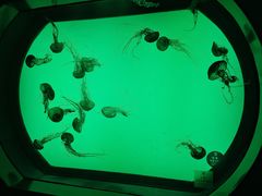 -沈阳海洋探索中心