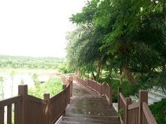 -广垦（茂名）国家热带农业公园