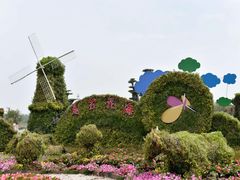 -荷兰花海