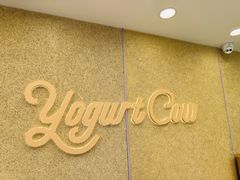 -一只酸奶牛(洪崖洞11楼店)