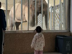 -石家庄市动物园