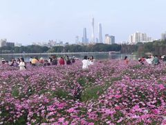 -海珠湖公园