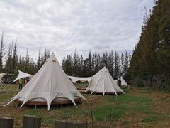 -前小桔亲子创意农场·草莓采摘·露营烧烤