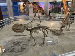 -国家自然博物馆