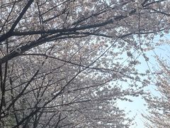 -团城山公园