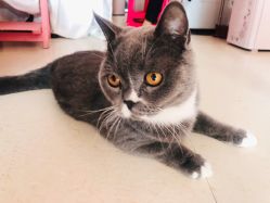 -Pink You美甲美睫纹绣定制中心