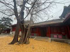 -承恩寺