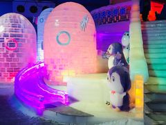 -大连海昌发现王国主题公园