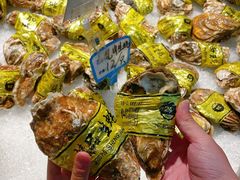-潮澎派·潮汕菜大排档(南较西路店)