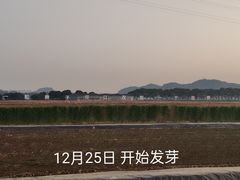 -长洲岛