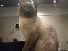 -吱咖啡西式简餐