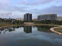 -宝安西湾红树林湿地公园