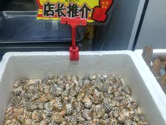 -蚝专家(北滘店)