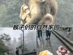-峨眉山风景名胜区