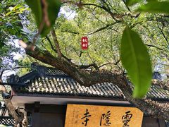 -灵隐飞来峰景区