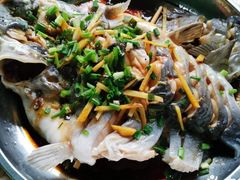 清蒸鱼-柴火农家饭(遇龙河店)