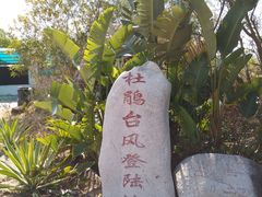 -广东惠东海龟国家级自然保护区