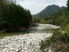 -黑河国家森林公园