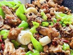 -吃奇喝哈童子鸡